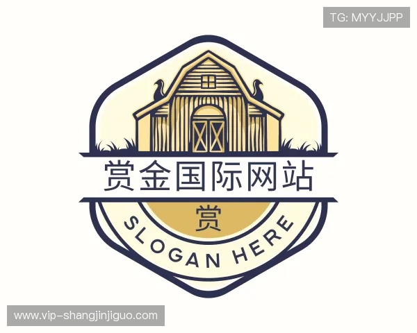 介绍赏金国际网站